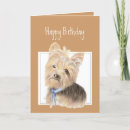 Search for cute yorkie cards Yorkies