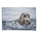 Search for otter pillowcases Animals in the wild