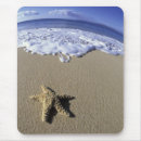 Search for maui mouse mats Ocean