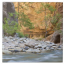 Search for zion tiles Nature