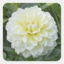Search for scrapbookers stickers Floral
