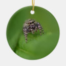 Search for jumping” christmas tree decorations Spider