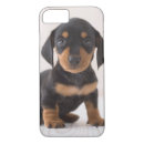 Search for dachshund iphone 7 cases animals