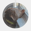 Search for chesapeake bay retriever christmas tree decorations Puppy