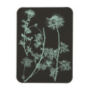 Search for charcoal grey magnets Flowers