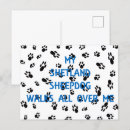 Search for shetland sheepdog postcards Collie