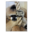 Search for gibbon cards Monkey