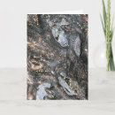 Search for rainy day cards Nature