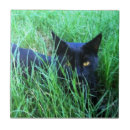 Search for grass tiles Animals