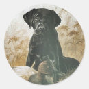 Search for black duck stickers Labrador