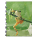 Search for frog notebooks Nature