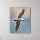 Search for seagull canvas prints Photography