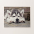 Search for siberian husky puzzles Snow dog