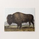 Search for buffalo bison puzzles Mammal