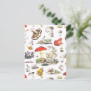 Search for vintage frog postcards Nature