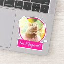 Search for white mouse stickers Funny