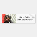 Search for rotty bumper stickers Pet