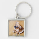 Search for animal crossing key rings Baby