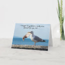Search for funny seagull postcards Seaside