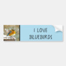 Search for snow bumper stickers Blue