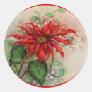 Search for poinsettia flower stickers Christmas flowers