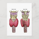 Search for larynx Healthcare