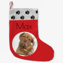 Search for template christmas stockings Modern