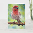 Search for finch cards Cute