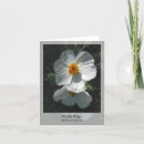 Search for ecological cards Nature