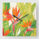 Search for tropical clocks Colourful
