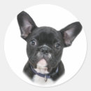 Search for french bulldog stickers Dog lover