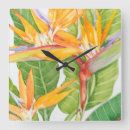 Search for flower clocks Orange