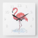 Search for flamingo clocks Water