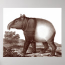 Search for vintage natural history posters Animals