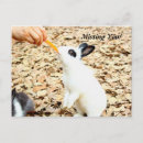 Search for playboy Rabbit