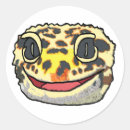 Search for geckos stickers Leopard gecko