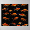 Search for two fish posters Black