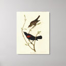 Search for single winged art Picture