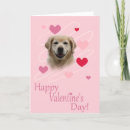 Search for golden retriever valentines day cards Pet