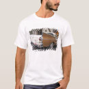 Search for studebaker tshirts Hawk