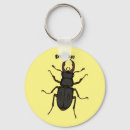 Search for stag beetle key rings Bug