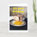 Search for ferret birthday cards Original