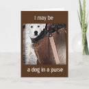 Search for purse cards Photography