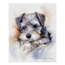 Search for schnauzer puppy posters Cute