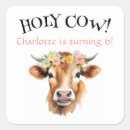 Search for jersey cow stickers Brown