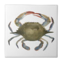 Search for ocean life tiles Sealife