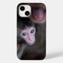 Search for baby monkey iphone cases Animals in the wild