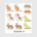 Search for cute parakeet stickers Budgerigar