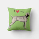 Search for weimaraner cushions Grey ghost