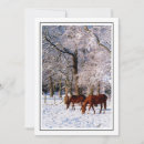 Search for thoroughbred cards Mares